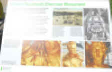 P1010382.jpg (252530 bytes)