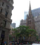 P1010456.jpg (271054 bytes)