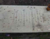 P1010462.jpg (323872 bytes)