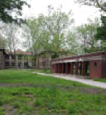 ellis23.jpg (395955 bytes)