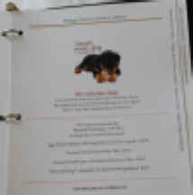 20170619_115911.jpg (327518 bytes)