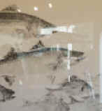 20170619_165759.jpg (59481 bytes)