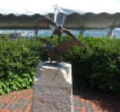 P1010569.jpg (299417 bytes)