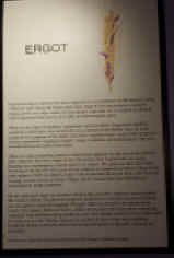 20170620_123822.jpg (154522 bytes)