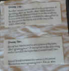 P1010589.jpg (81271 bytes)