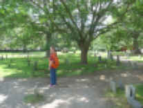 P1010593.jpg (661817 bytes)