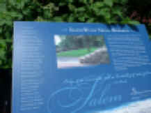 P1010594.jpg (328010 bytes)