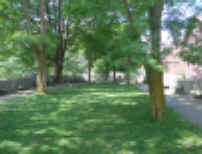 P1010595.jpg (701547 bytes)