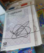 P1010601.jpg (861299 bytes)