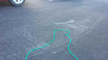 20180624_204236.jpg (275040 bytes)