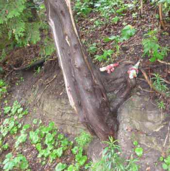 P1010795.JPG (2668161 bytes)