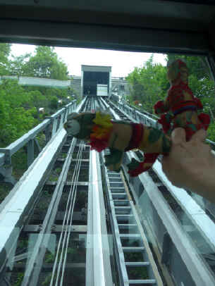 P1010802.jpg (315186 bytes)