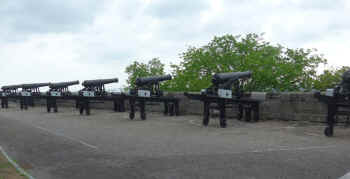 P1010813.jpg (231973 bytes)