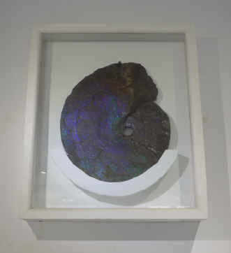 P1010840.jpg (71476 bytes)