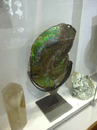 P1010841.jpg (218558 bytes)