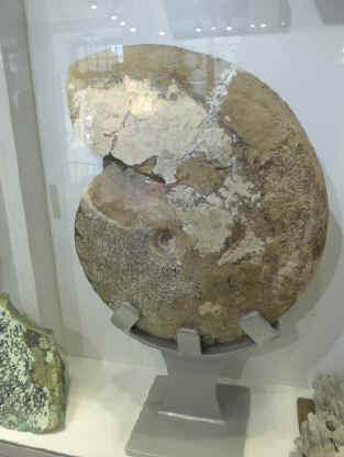 P1010845.jpg (277828 bytes)