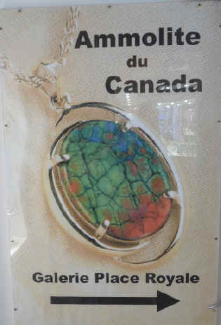 P1010847.jpg (194631 bytes)