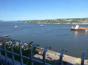 P1010853.jpg (260128 bytes)