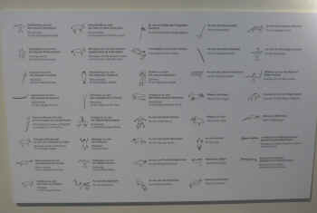 P1010882.jpg (161542 bytes)