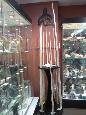 P1010895.jpg (315461 bytes)