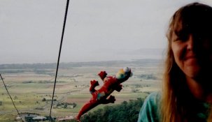 013amyskyrail.jpg (10109 bytes)