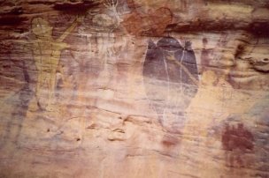 101spiney.jpg (16463 bytes)