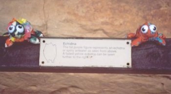 102spineykandk.jpg (13197 bytes)