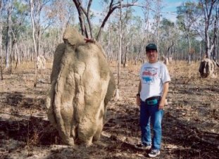 103mound.jpg (27604 bytes)