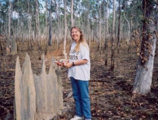 104castle_magnetic.jpg (27811 bytes)