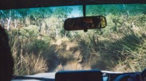 114thetrack.jpg (15016 bytes)