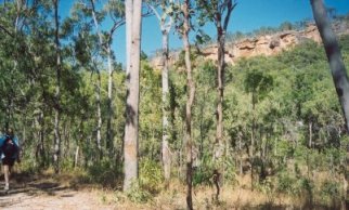 115westernescarptmentbradleycircuit.jpg (24973 bytes)