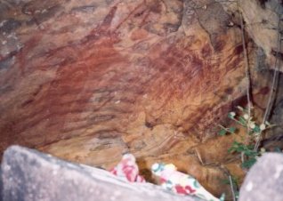 117spineyandancestors.jpg (19428 bytes)