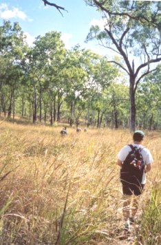 211outofwesternesnscarpment.jpg (33636 bytes)