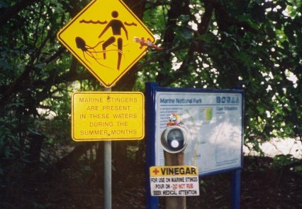 309jellyfishsign.jpg (37596 bytes)