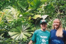 310fanplams.jpg (21244 bytes)