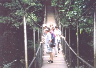 311mossmanriverswingingbridge.jpg (21724 bytes)