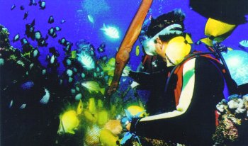 diverwithfish.jpg (22796 bytes)