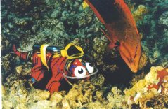 kinidiveredfish.jpg (16085 bytes)