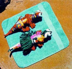 ontowel.jpg (19877 bytes)