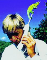 paulinesly.jpg (13814 bytes)