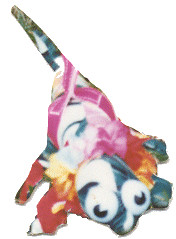 04kimiheadon.gif (17394 bytes)