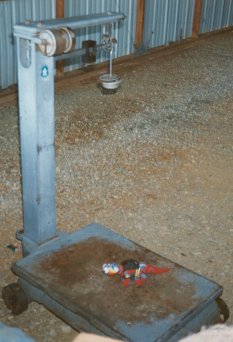 05kiniweights.jpg (20160 bytes)