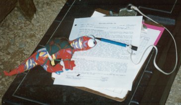 06kiniwaver.jpg (19355 bytes)