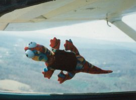 17inplane3.jpg (10081 bytes)