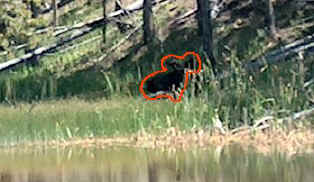 036_red_moosehead.jpg (23797 bytes)