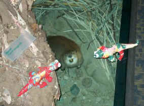 073kkmeetbeaverbuffalobillhistoricalcentercody.jpg (20803 bytes)