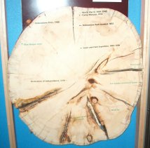 074_sm_treeringsdatesbuffalobillhistoricalcentercody.jpg (11929 bytes)