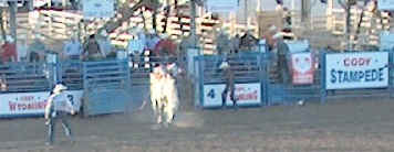 081codyrodeobarebackbucking.jpg (22254 bytes)