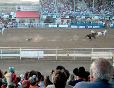 083codyrodeocalfwrestling.jpg (35534 bytes)